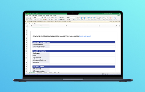 CDP RFP Template