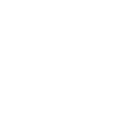 AI Auditor Agent