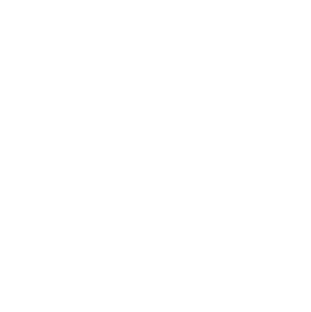 AI Decisioning Agent