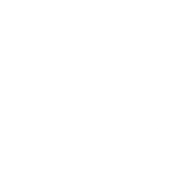 Audience Agent