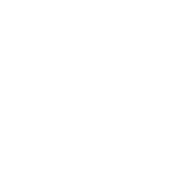Brand Guideline Agent