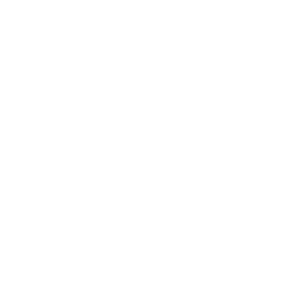 Data Analyst Agent