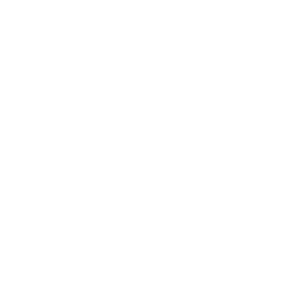 Data Migration Agent