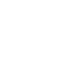 Data Onboarding Agent