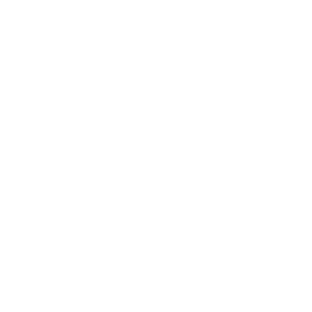 Data Quality Agent