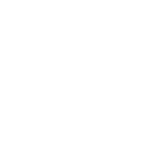 Image Generation Agent