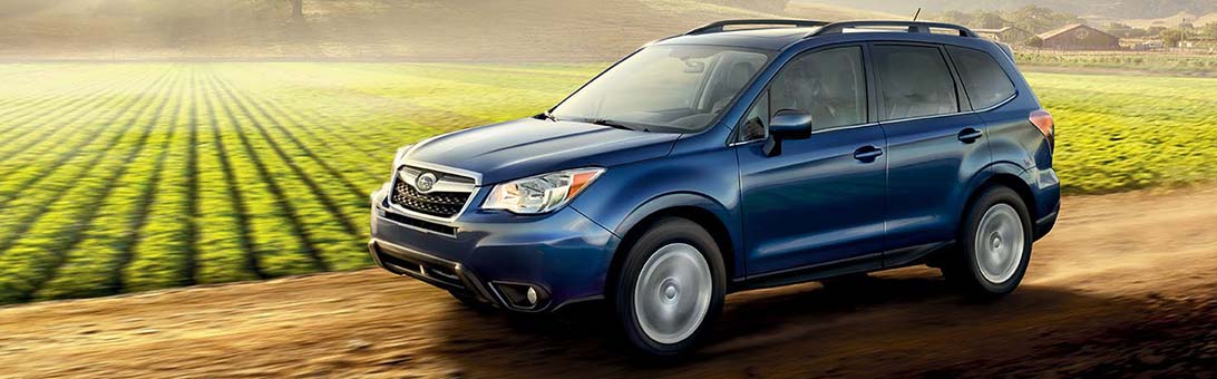 Subaru Case Study
