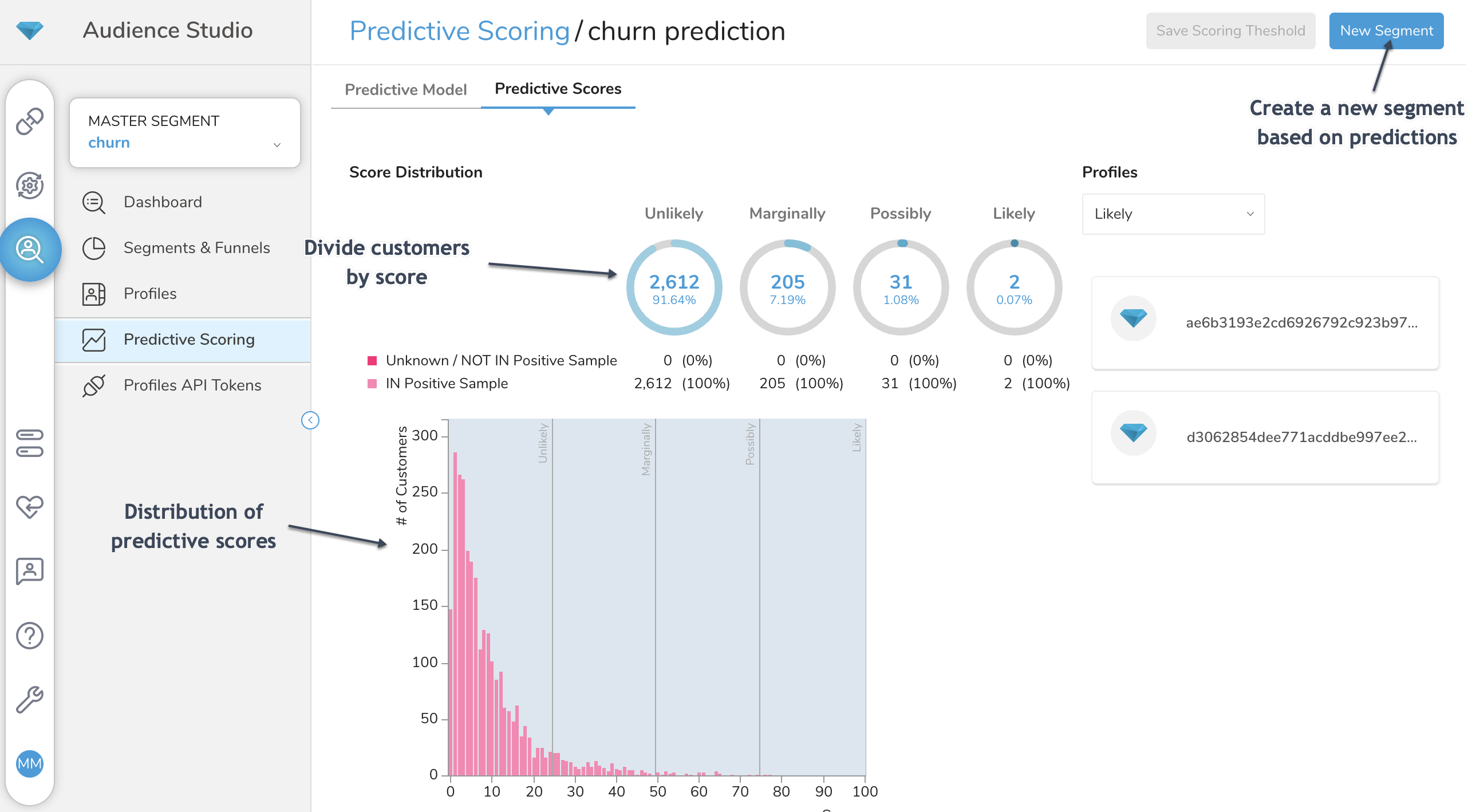 A graphic showing Treasure Data’s Audience Studio implementing Predictive Scoring on a master audience segment