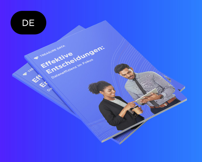 Effektive Entscheidungen: Dateneffizienz im Fokus Englische Ausgabe