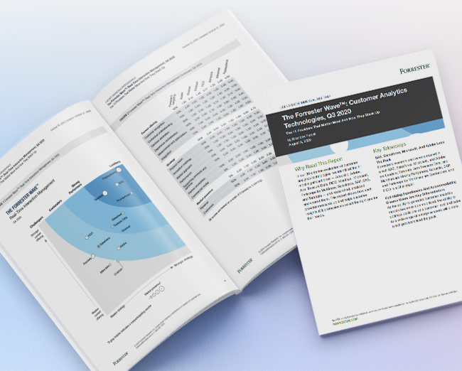 Free Future Stores Survey Research Report