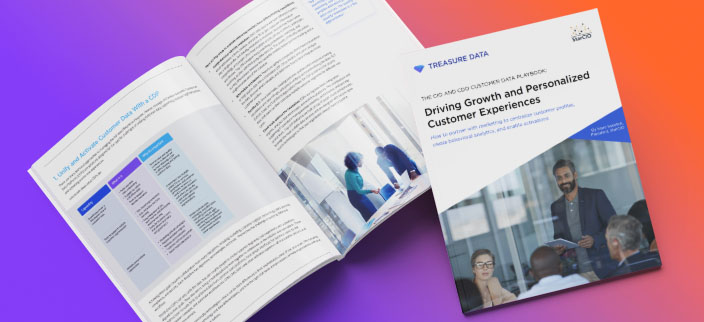 The CIO and CDO Customer Data Playbook