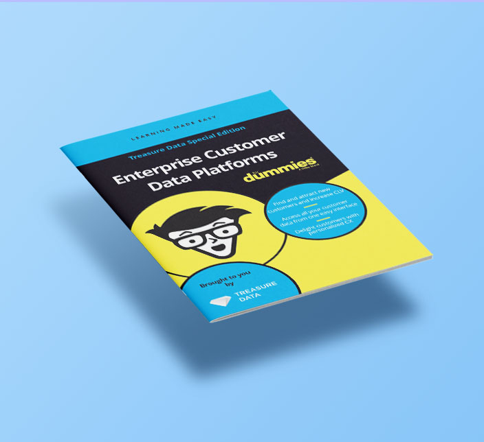 New! Dummies Guide to Enterprise CDPs 2.0